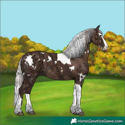 Horse Color:White Spotted Silver Black Ice Splash Tobiano 