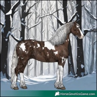 Horse Color:White Spotted Silver Black Ice Splash Tobiano