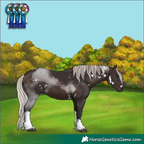 Horse Color:White Spotted Silver Brown Tobiano