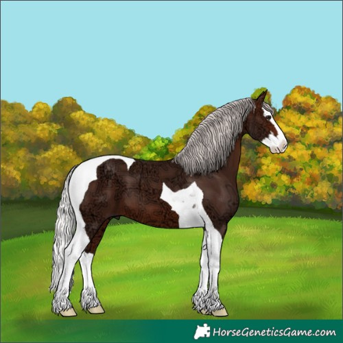 Horse Color:Silver Brown Ice Splash Tobiano