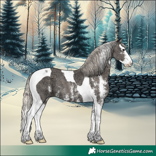 Horse Color:Silver Smoky Black Ice Sabino Splash Tobiano