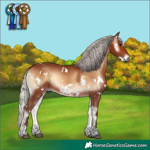 Horse Color:White Spotted Silver Bay Onyx
