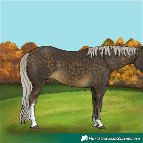 Horse Color:Silver Buckskin Sabino 