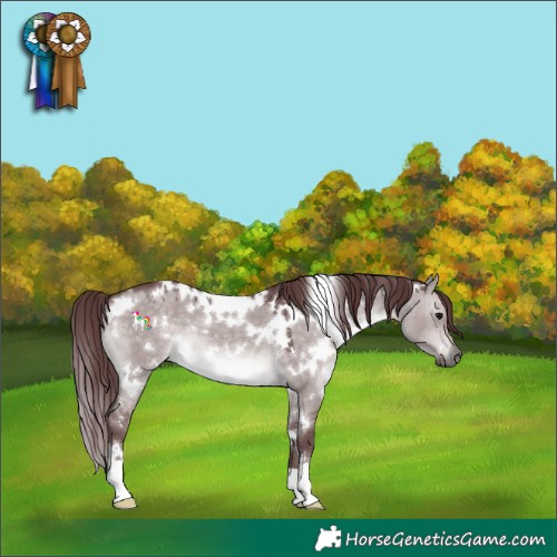Horse Color:Platinum White Spotted Chocolate Brown Dun