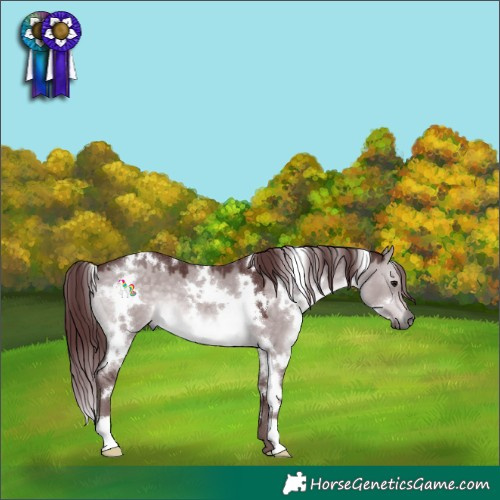 Horse Color:Platinum White Spotted Chocolate Brown Dun 