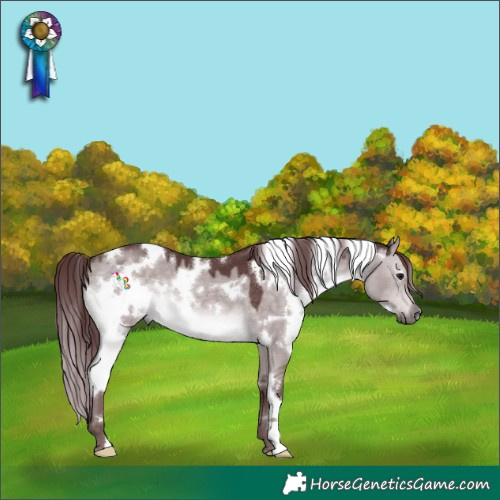 Horse Color:Platinum White Spotted Chocolate Brown Dun 