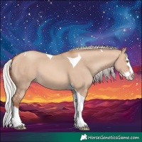 Horse Color:Silver Sable Champagne Dun Splash Tobiano 