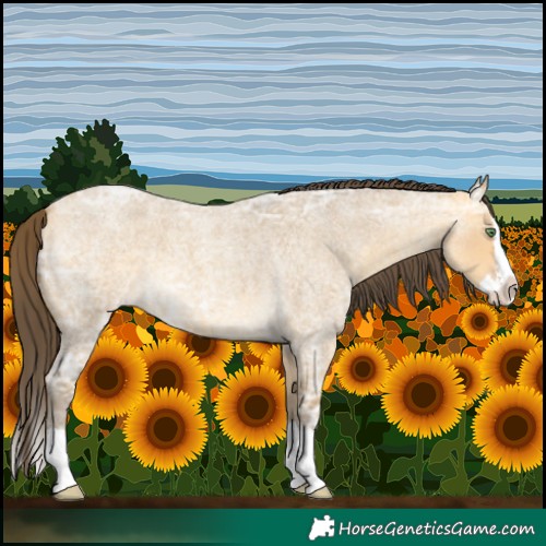 Horse Color:Amber Cream Champagne Ice Roan Splash