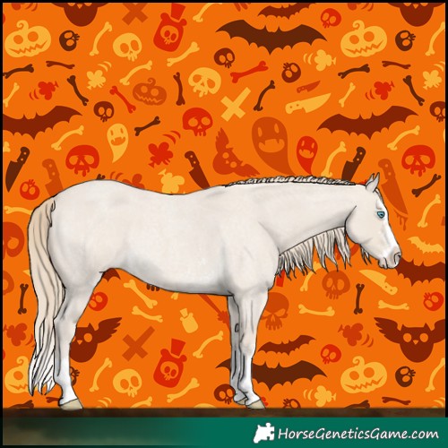 Horse Color:Smoky Creme Roan Sabino Splash