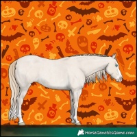 Horse Color:Smoky Creme Roan Sabino Splash 