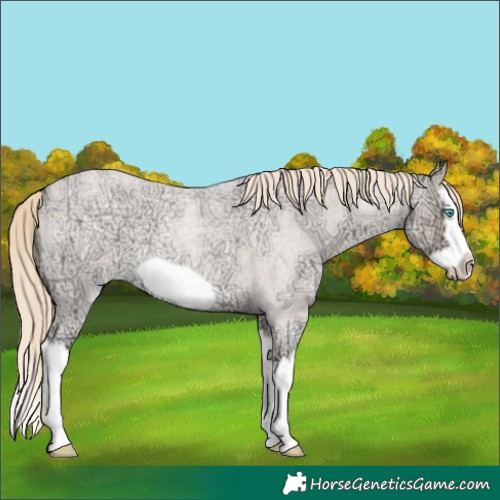 Horse Color:Perlino Ice Roan Splash Frame 