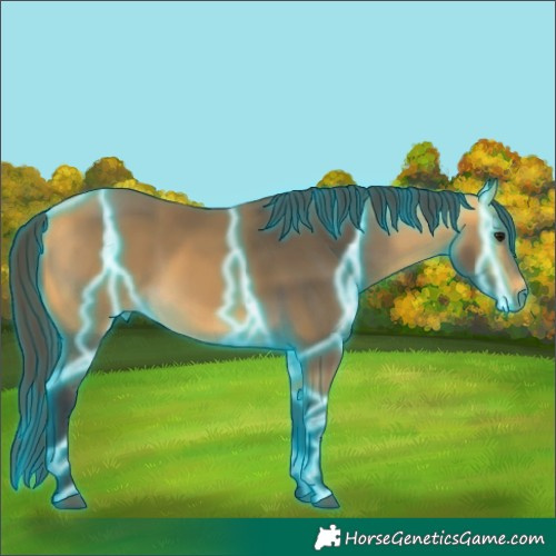 Horse Color:Thunderstruck Buckskin 