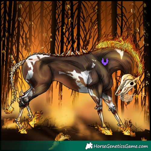 Horse Color:Bay Tobiano 