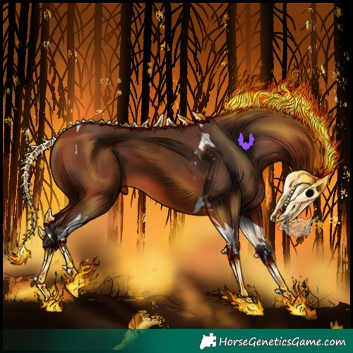Horse Color:Bay Tobiano 