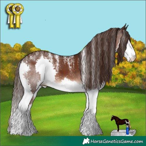 Horse Color:Powder White Liver Chestnut Splash 