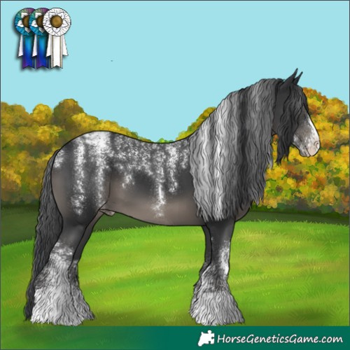 Horse Color:Powder White Platinum Black Appaloosa 