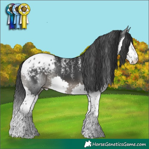 Horse Color:Powder White Black Splash Appaloosa