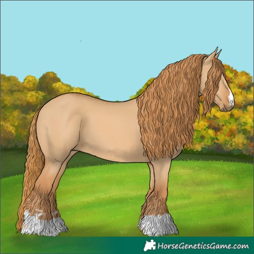 Horse Color:Red Dun
