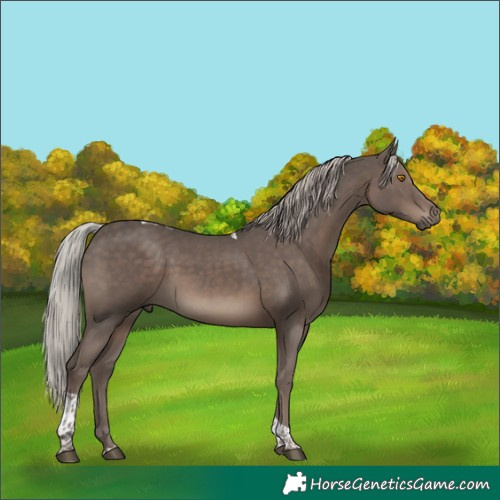 Horse Color:Silver Black Tobiano