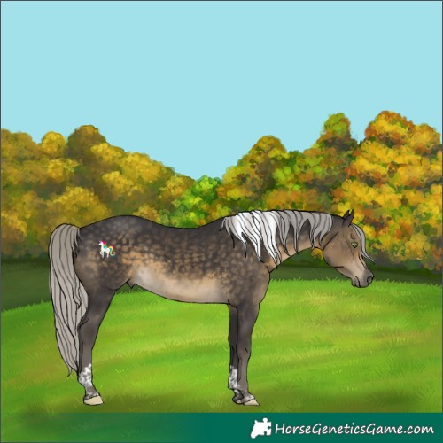 Horse Color:Silver Smoky Black Tobiano