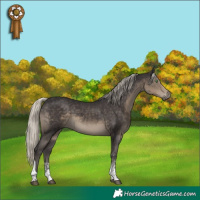Horse Color:Silver Smoky Black Sabino Tobiano