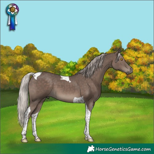 Horse Color:Silver Black Tobiano 