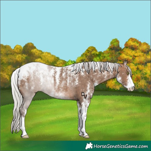 Horse Color:Powder White Silver Brown Dun Rabicano