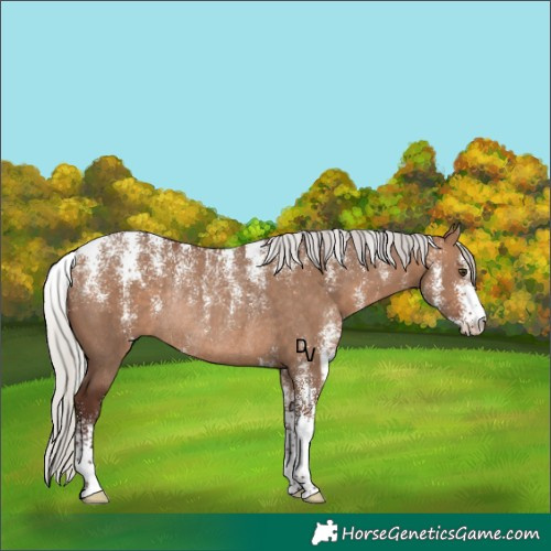 Horse Color:Powder White Silver Bay Dun Rabicano