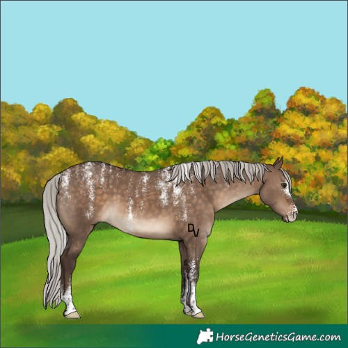 Horse Color:Powder White Silver Brown Dun 