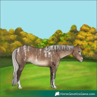 Horse Color:Powder White Silver Brown Dun