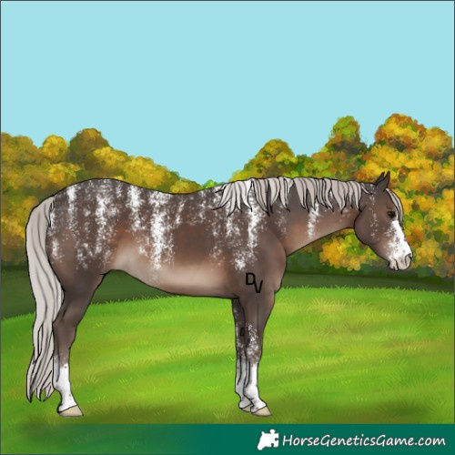 Horse Color:Powder White Silver Black