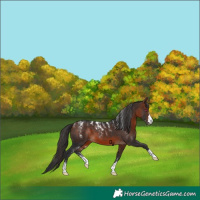 Horse Color:Powder White Brown