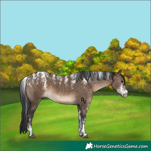 Horse Color:Powder White Brown Dun