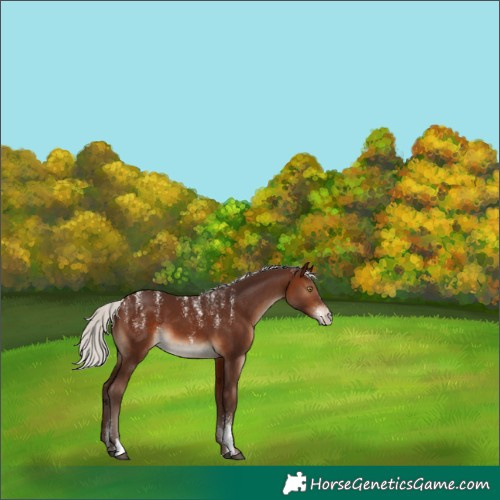 Horse Color:Powder White Silver Brown 