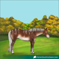 Horse Color:Powder White Silver Brown