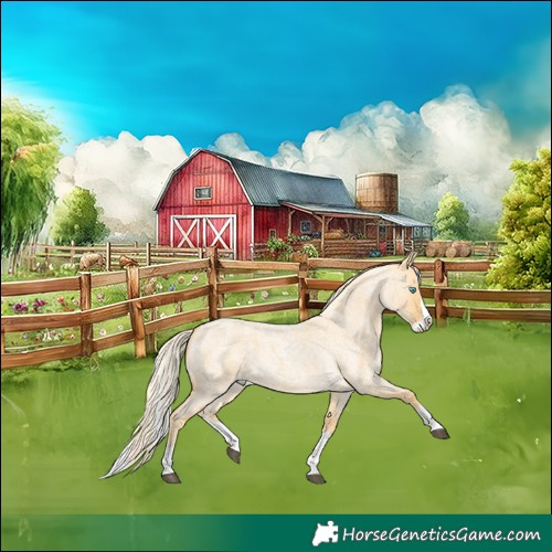 Horse Color:Palomino Roan Splash 