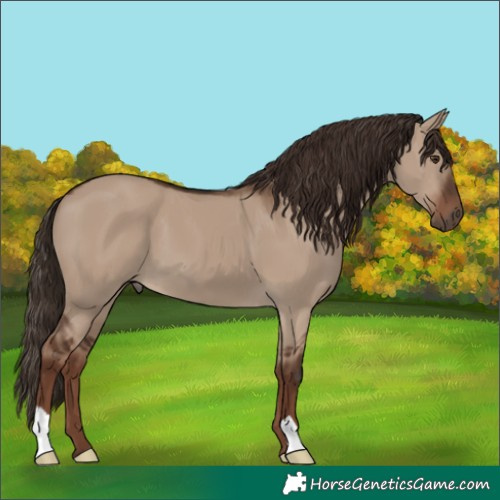 Horse Color:Liver Red Dun 