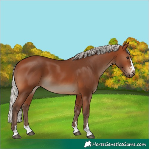 Horse Color:Silver Brown 