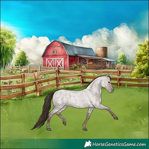 Horse Color:Liver Red Dun Ice Roan 