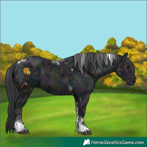 Horse Color:Midnight Black Ice Tobiano 