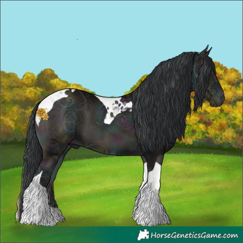 Horse Color:Midnight Blue Onyx Ice Tobiano 