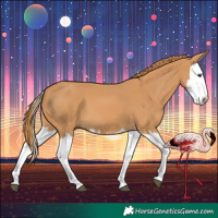 Horse Color:Chestnut Splash 