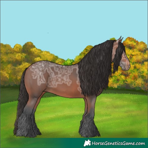 Horse Color:Bay Ice Rabicano 