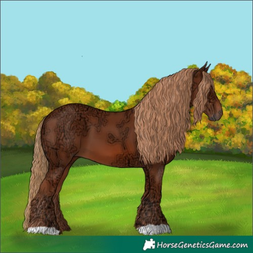 Horse Color:Chestnut Ice