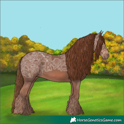 Horse Color:Chestnut Ice Rabicano 