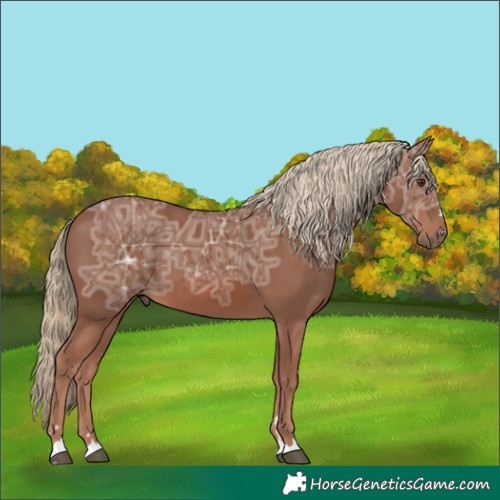 Horse Color:Chestnut Ice