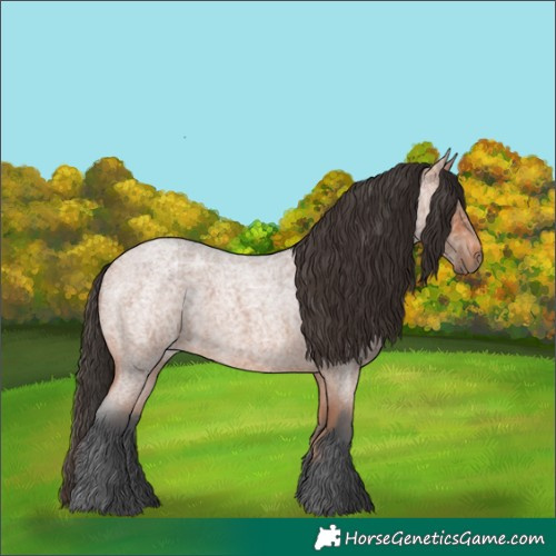 Horse Color:Bay Ice Roan 