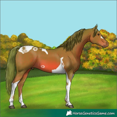 Horse Color:Watercolor Chestnut Tobiano