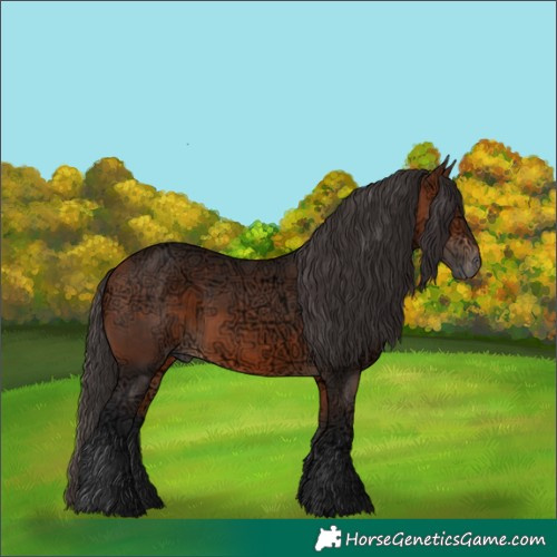 Horse Color:Bay Ice Rabicano 