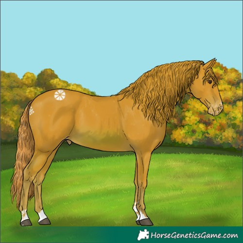 Horse Color:Watercolor Chestnut Varnish